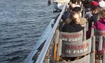 Croisière panoramique à Paris à bord des Vedettes de Paris Photos