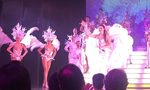 Avis - Paradis Latin Photos