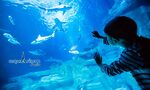Entradas para el Acuario de París, Trocadero Fotos