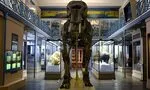 Les expositions à Paris au mois de juillet 2025 Photos