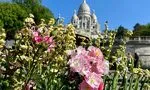 What to See and Visit in Paris in 3 Days