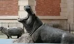 Tickets for the Best Zoos and Aquariums in Paris - Discover the Zoo de Vincennes, the Aquarium of Paris and More