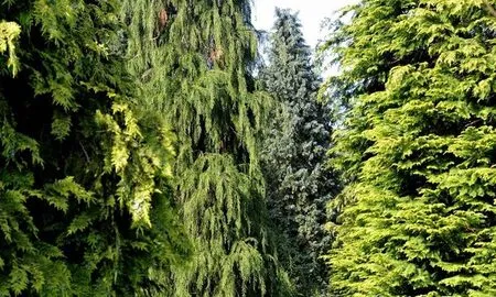 National Museum of Natural History • Come to Paris