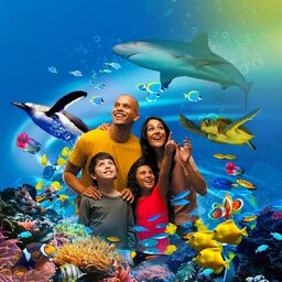 Aquarium Sea Life Paris Val d'Europe à Marne-la-Vallée • Visite et ...