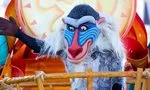  Disneyland® Paris Parade Disney Stars sur Main Street U.S.A.® ©DISNEY 