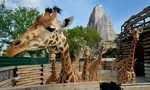 Visit of the Paris Zoological Park Photos