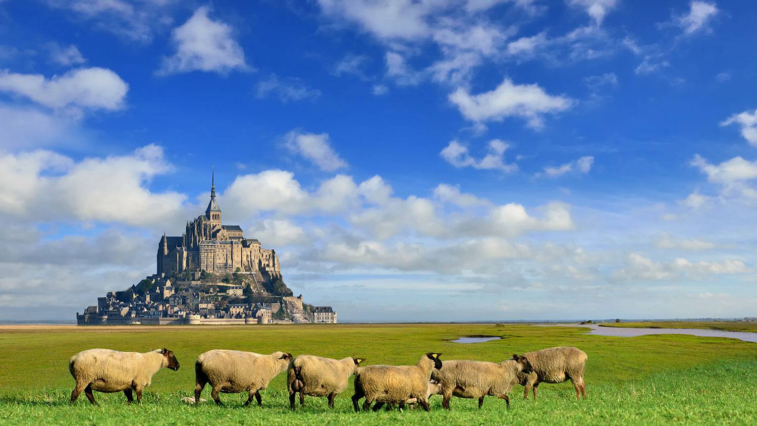 Mont Saint Michel Photos 5