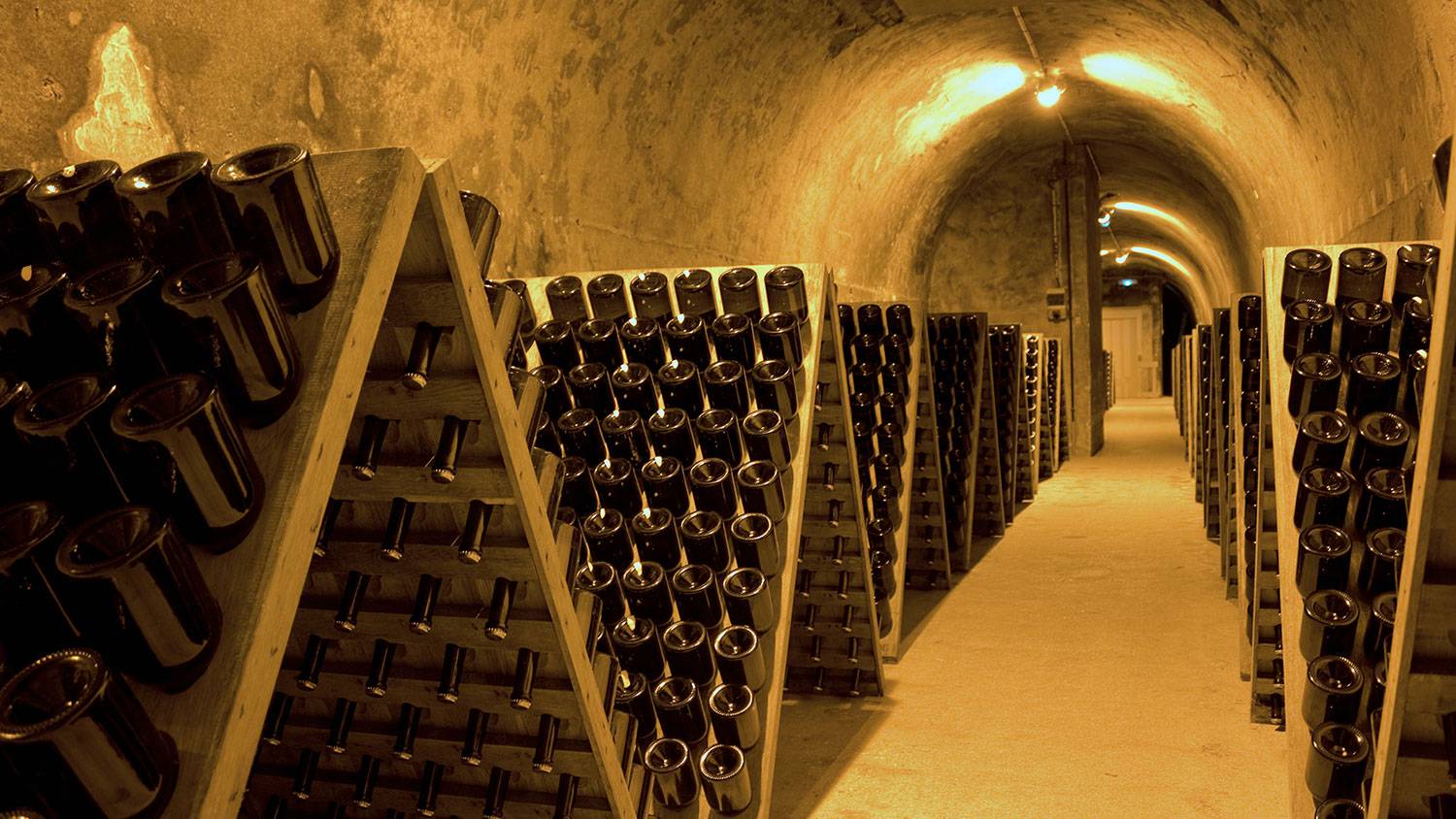 Reims Champagne Fotos 3