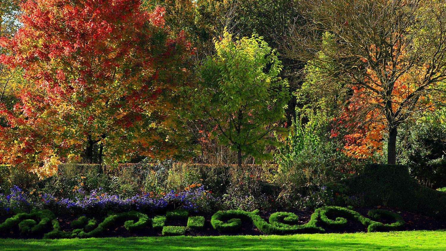 Visita guiada Versalhes Fotos 7