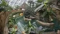 Zooparc de Beauval 照片 4