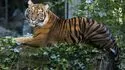 Zooparc de Beauval 照片 3