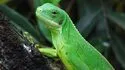 Zooparc de Beauval 照片 7