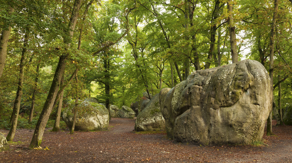 Visita ao Castelo de Fontainebleau Fotos 10