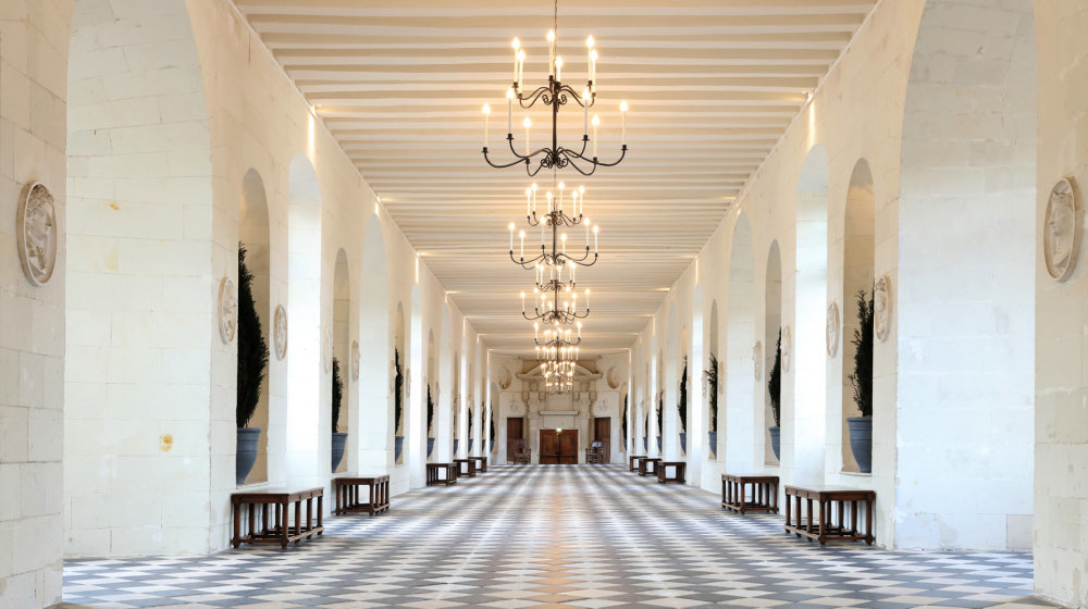Visit of the Château de Chenonceau Photos 6