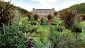 Jardin des plantes © MNHN - Jérôme Munier