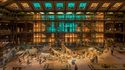 Grande Galerie de l'Evolution illuminée