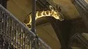 Grande Galerie de l'Evolution Girafe © MNHN - Bernard Faye