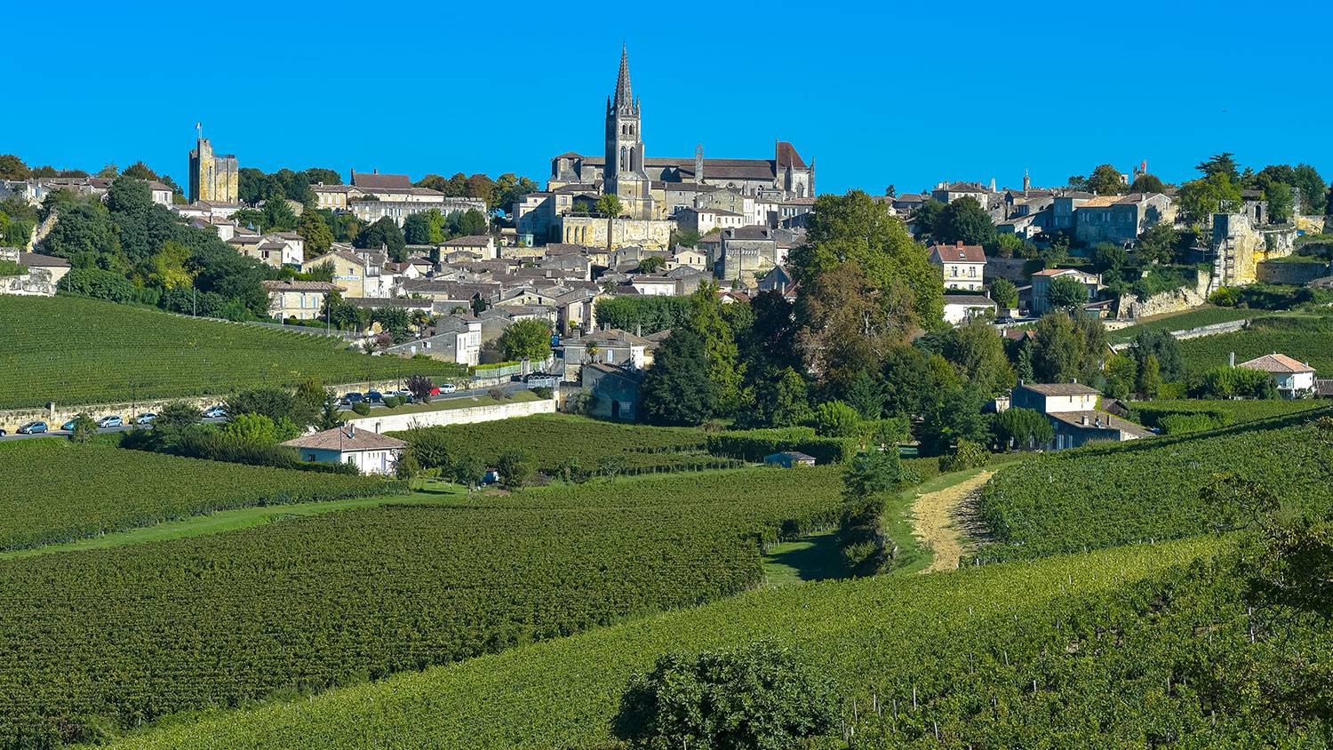 Bordeaux et ses Vignobles Photos 4