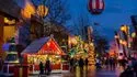 Disneyland® - Noël Photos 6