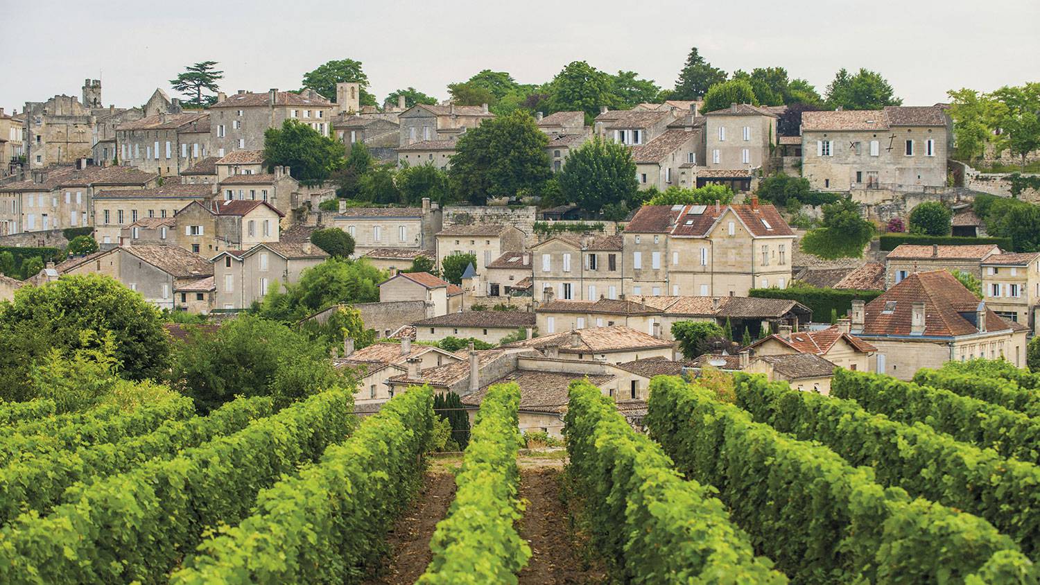 Bordeaux et ses Vignobles Photos 6