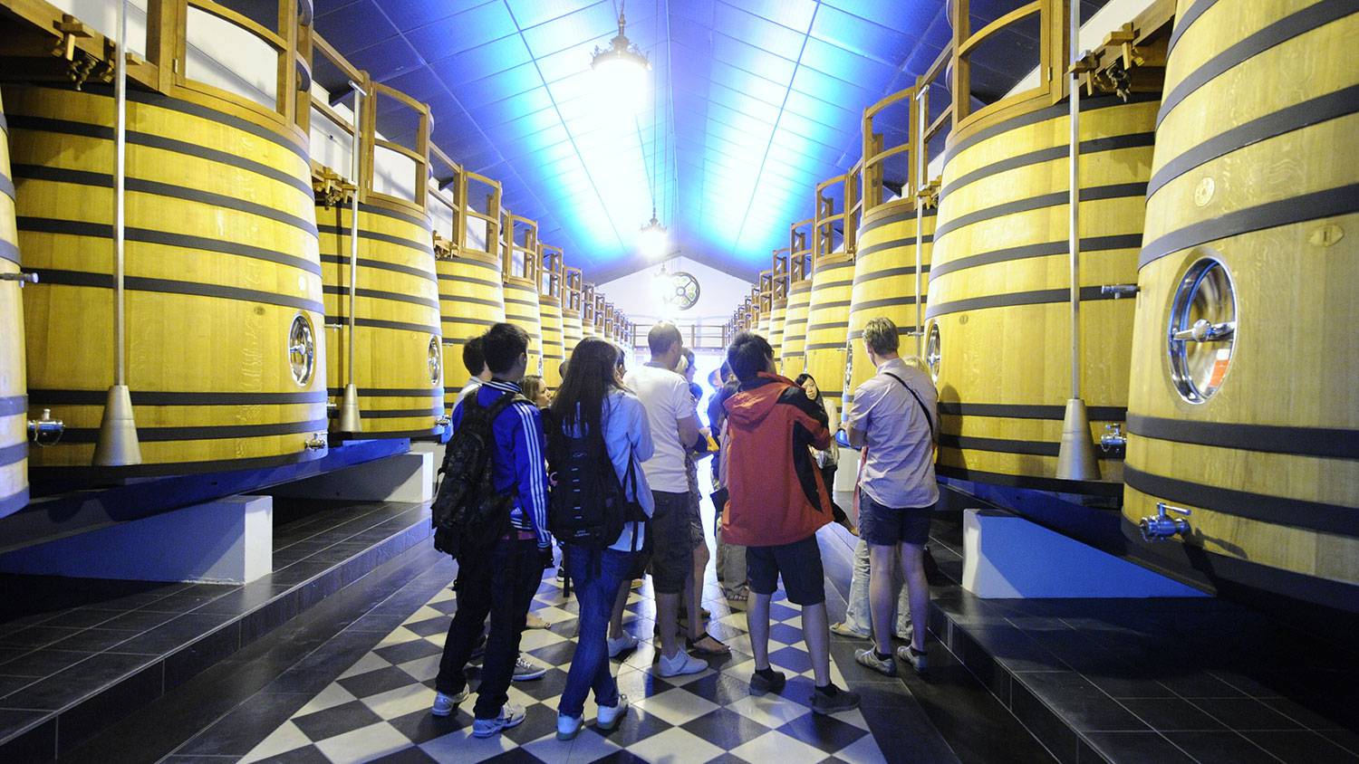 Bordeaux et ses Vignobles Photos 7