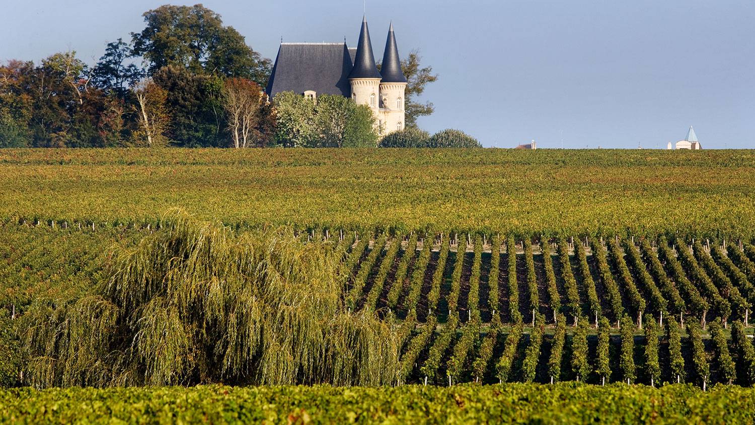 Bordeaux et ses Vignobles Photos 8
