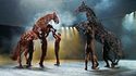 Comédie Musicale : War Horse à la Seine Musicale, 29 NOV - 29 DEC 2019 