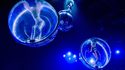 Groupes - Cabarets - Le Paradis Latin Photos 6