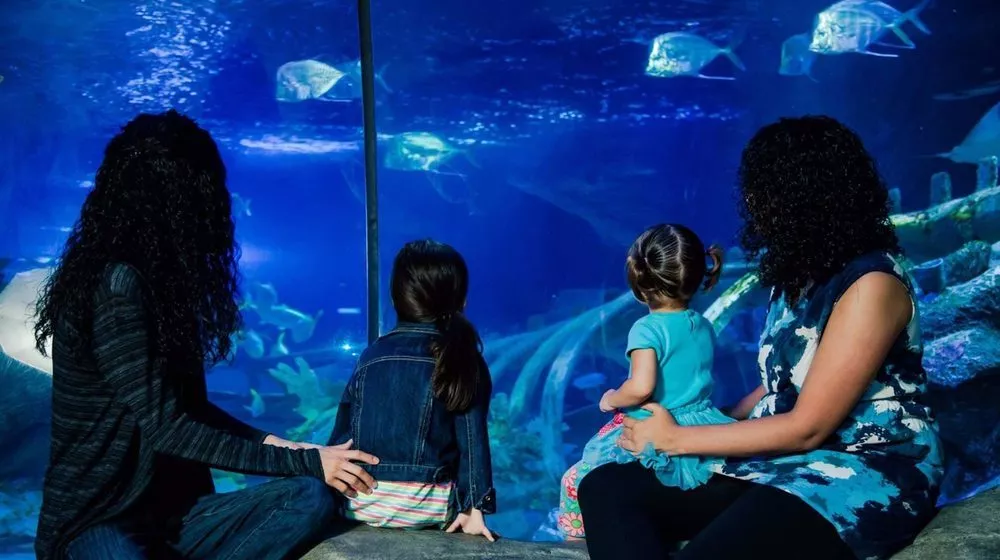 Aquarium Sea Life Paris Val d'Europe à Marne-la-Vallée • Visite et ...