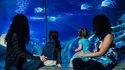 Acquario SEA LIFE Paris Val d'Europe Foto 2