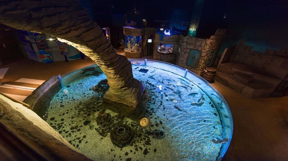 Aquarium Sea Life Paris Val d'Europe à Marne-la-Vallée • Visite et ...