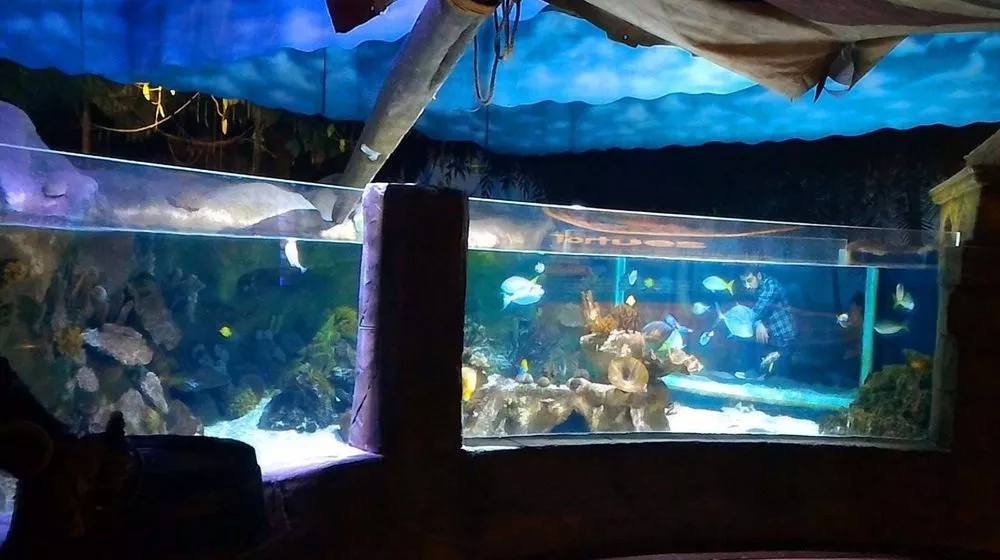 Aquarium Sea Life Paris Val d'Europe à Marne-la-Vallée • Visite et ...