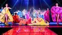 Cabaret Paradis Latin à Paris, Spectacle l'Oiseeau Paradis