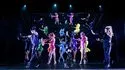 Cabaret Paradis Latin à Paris, Spectacle l'Oiseeau Paradis