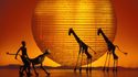 Théâtre Mogador • Le Roi Lion • Comédie Musicale Disney