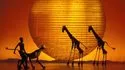 Théâtre Mogador • Le Roi Lion • Comédie Musicale Disney