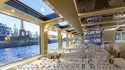 July 14 Dinner Cruise in Paris aboard Le Tosca Photos 4