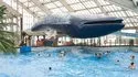 Aquaboulevard de Paris - O maior parque aquático da Île-de-France