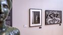 Maillol Museum: Elliott Erwitt: Eine Retrospektive