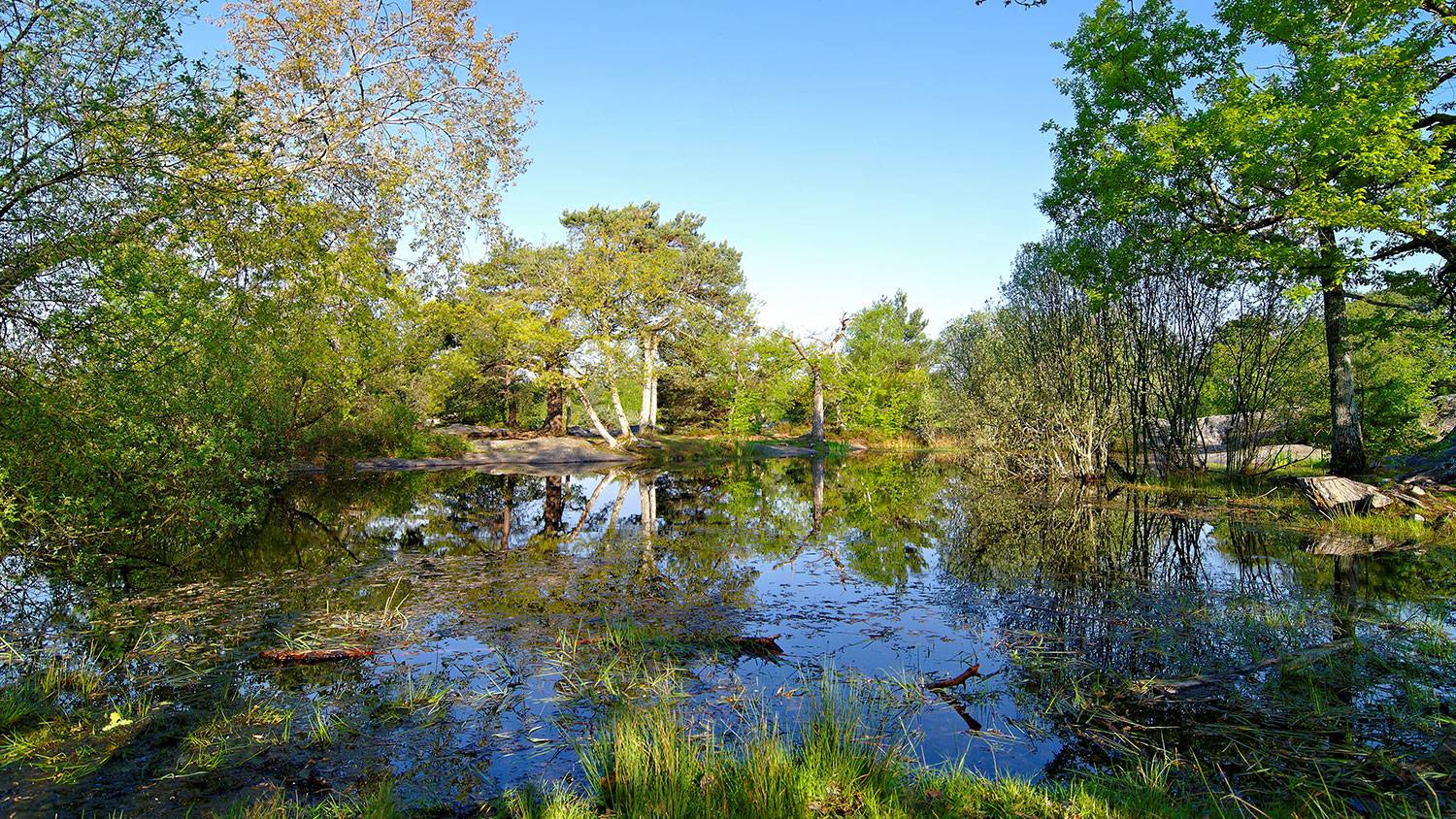 Фонтенбло c русским гидом Фотографии 3