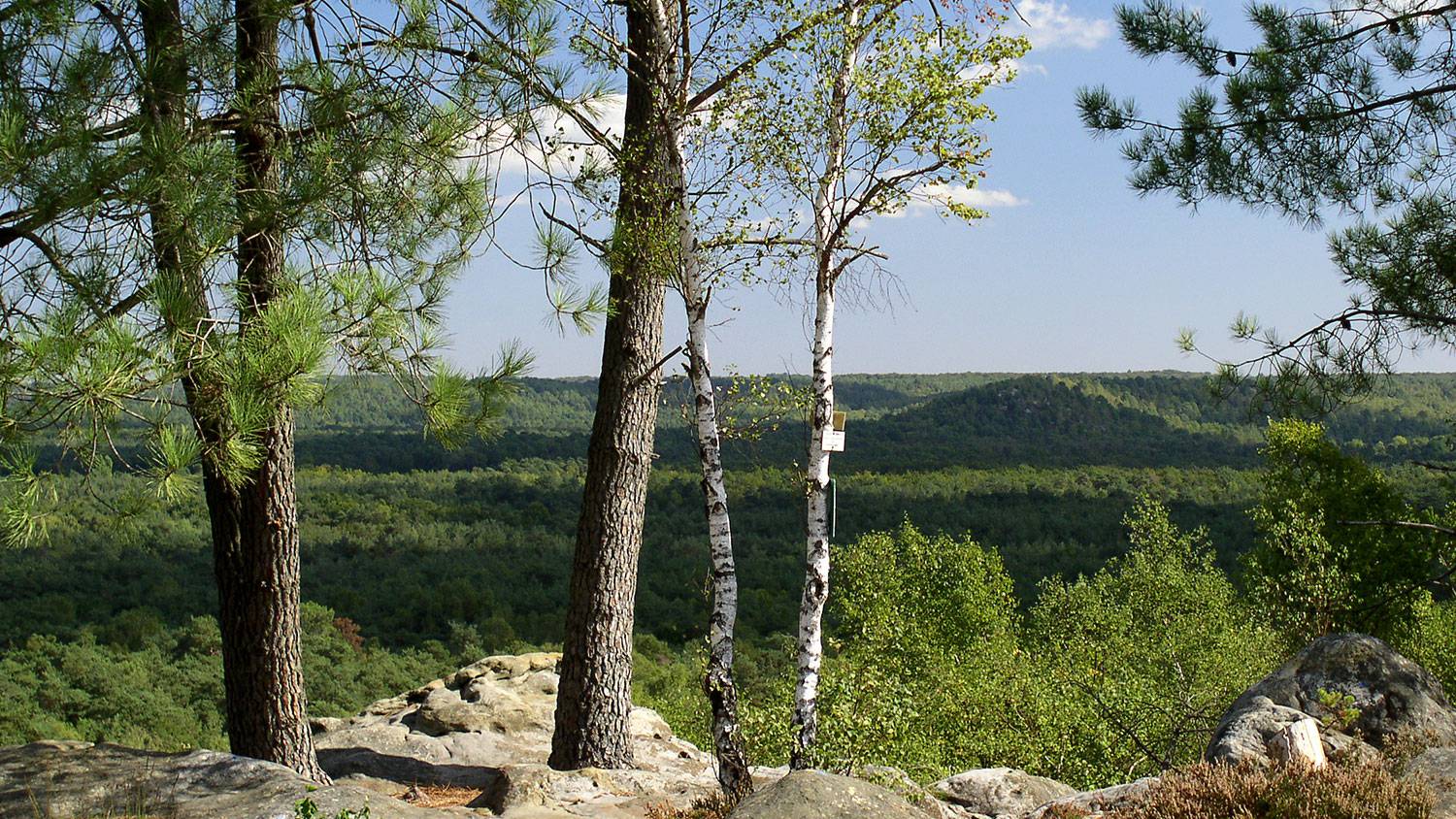 Фонтенбло c русским гидом Фотографии 4