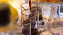 Laboratorio: Crea il tuo vino nelle Caves du Louvre a Parigi