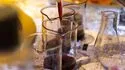 Atelier Créer son propre vin aux Caves du Louvre à Paris