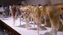 Musée du Chocolat - Choco Story Paris