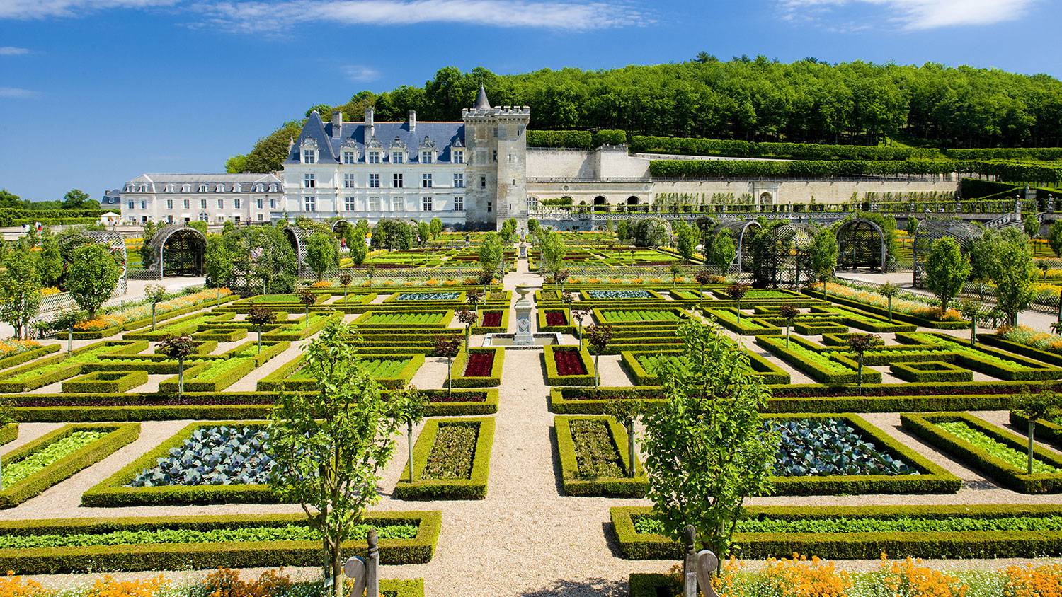 Замки Луары с русским гидом Фотографии 6