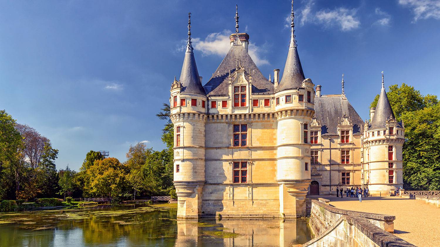 Замки Луары с русским гидом Фотографии 9