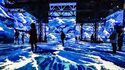 Atelier des Lumières - Exposition "Van Gogh / Japon Rêvé"