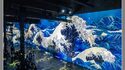 Atelier des Lumières - Exposition "Van Gogh / Japon Rêvé"
