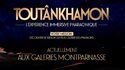 L'Expérience Toutankhamon 