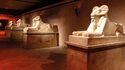 L'Expérience Toutankhamon 